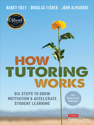 cover image of How Tutoring Works